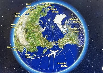 My flight path